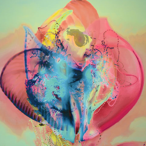 Jelly Fish