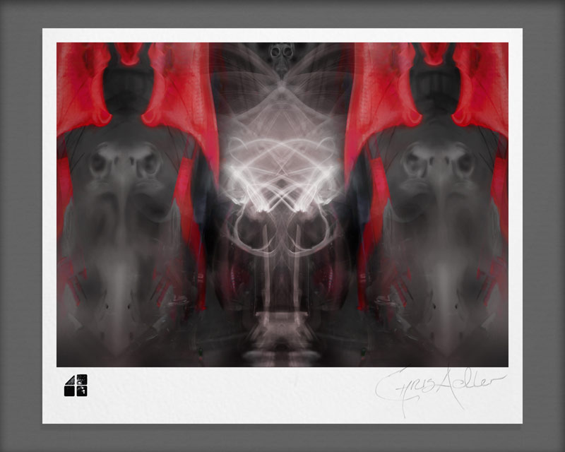 Chris Adler Art - Wrath